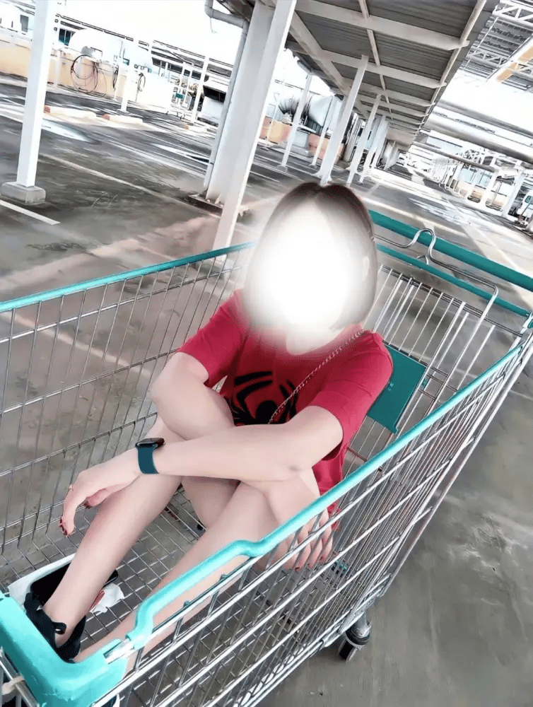 ภาพโปรไฟล์ของ บราวนี่ - รูปที่ 4