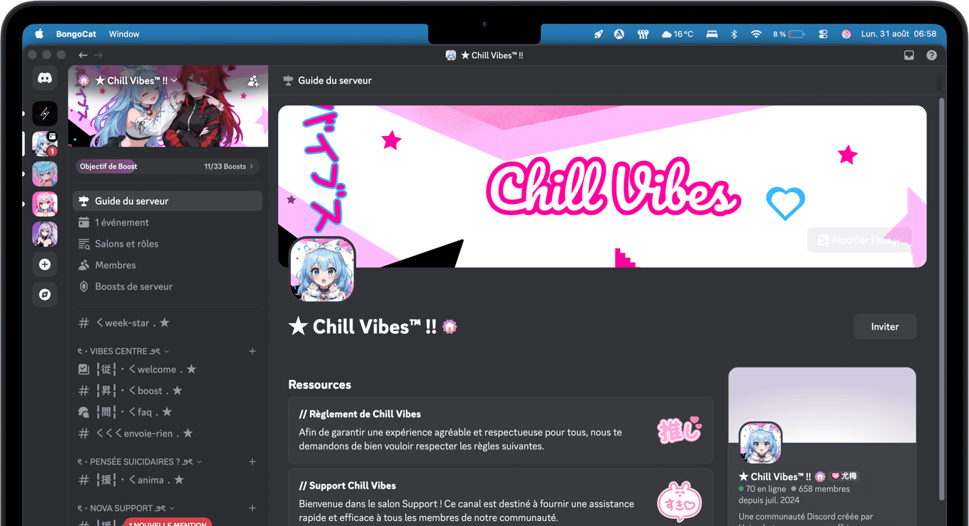 Aperçu du serveur Discord Chill Vibes