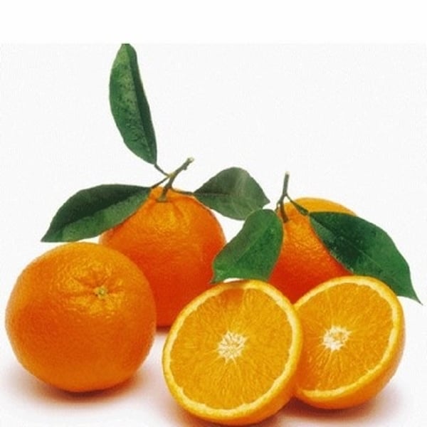Pomorandža 1kg