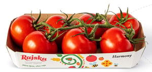Harmony Paradajz cherry 500g