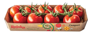 Paradajz cherry campari 400G