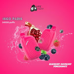 isgo paris 14000 blueberry raspberry pomegrante