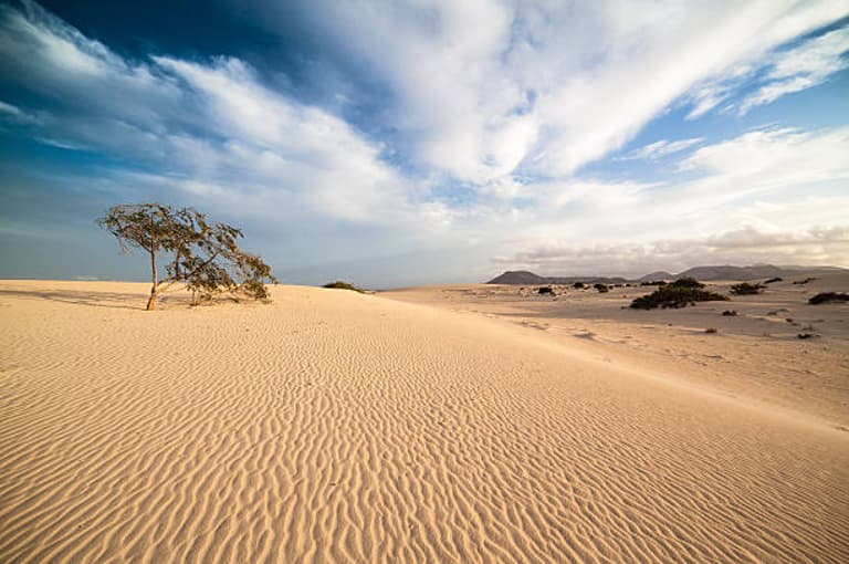 Dunas de Corralejo