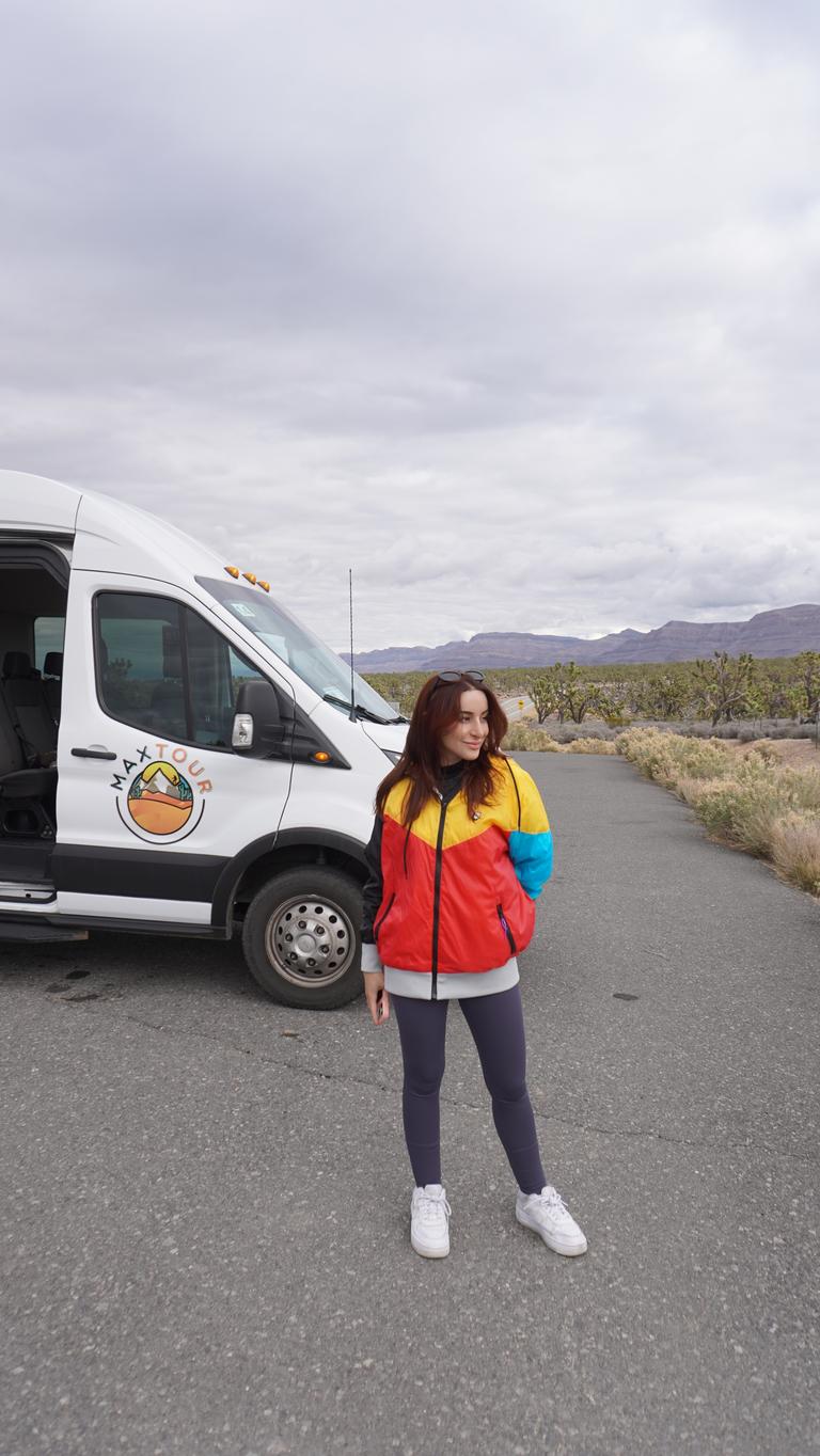 Excursion d'une journée dans la Vallée de la Mort avec coucher de soleil et observation des étoiles
