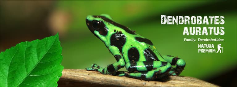 Natura Eco Park - Costa Rica