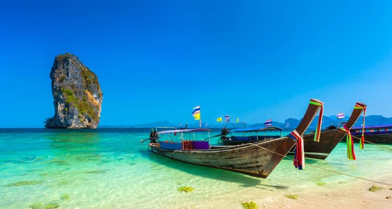 Thailand Scuba Conservation: Open-Water/Advanced, Shark Conservation, and Coral Maintenance