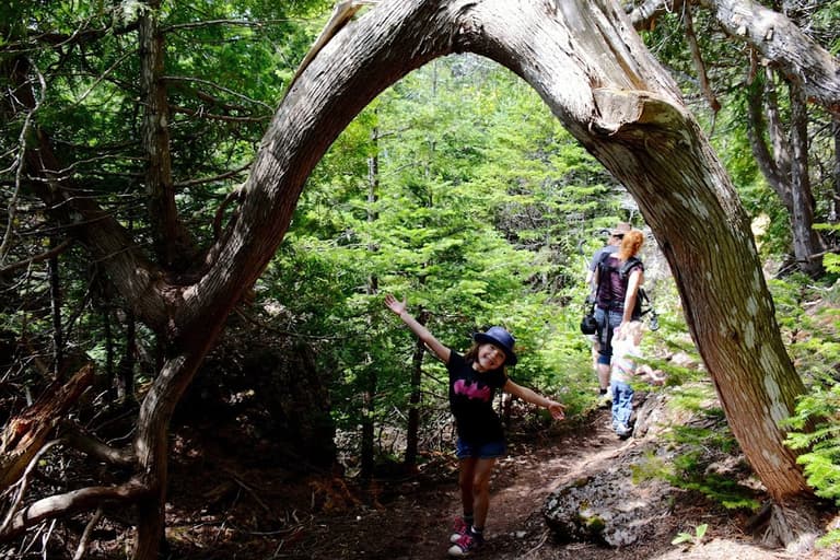 Geopark - Pavilion Tektonik