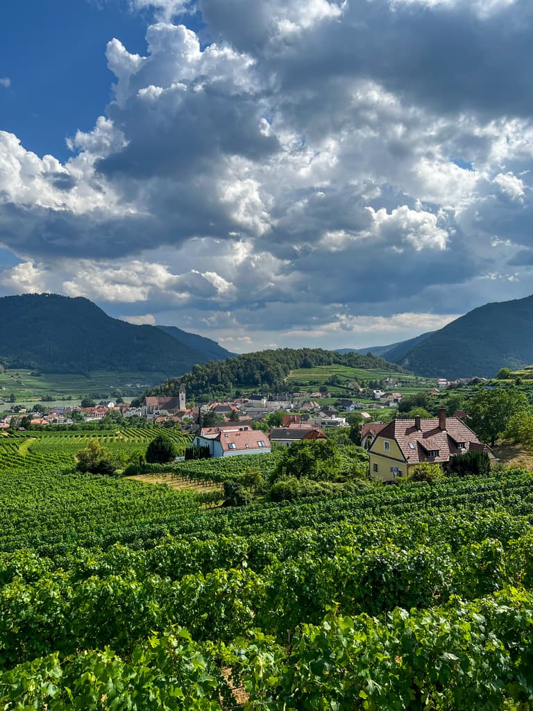 Spitz an der Donau: The Austrian Hidden Gem in the Dreamy Wachau Valley