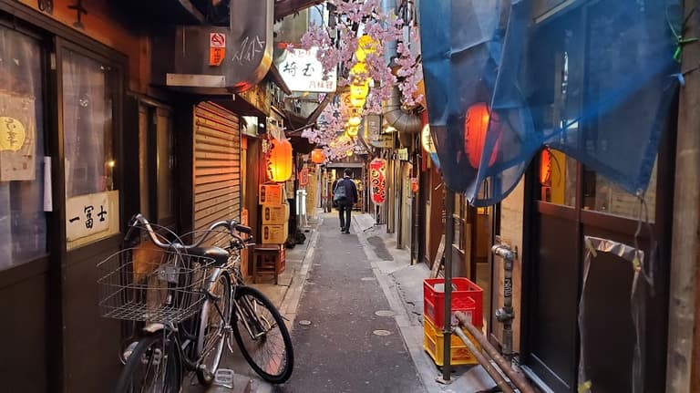 Omoide Yokocho Memory Lane