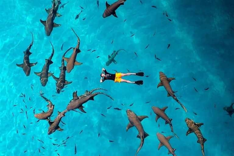 Beach Villa Hotel Maldives - hotel by the beach