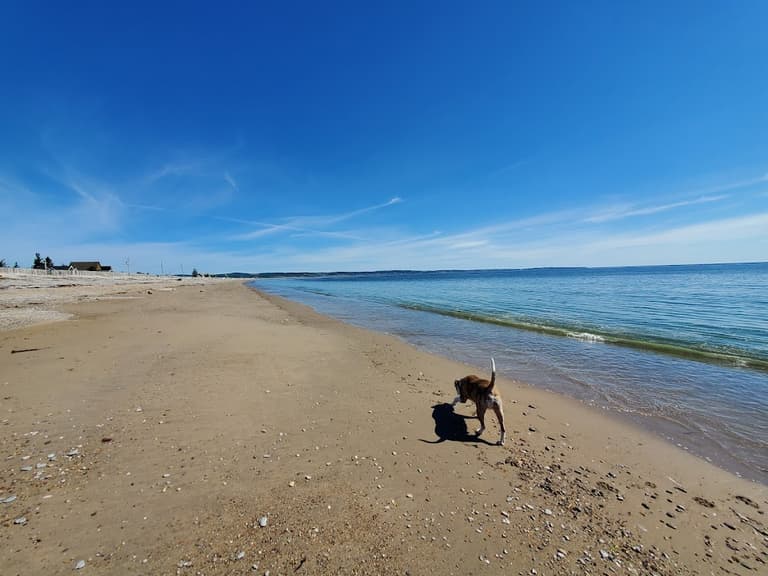 Sandy beach of Coin du Banc