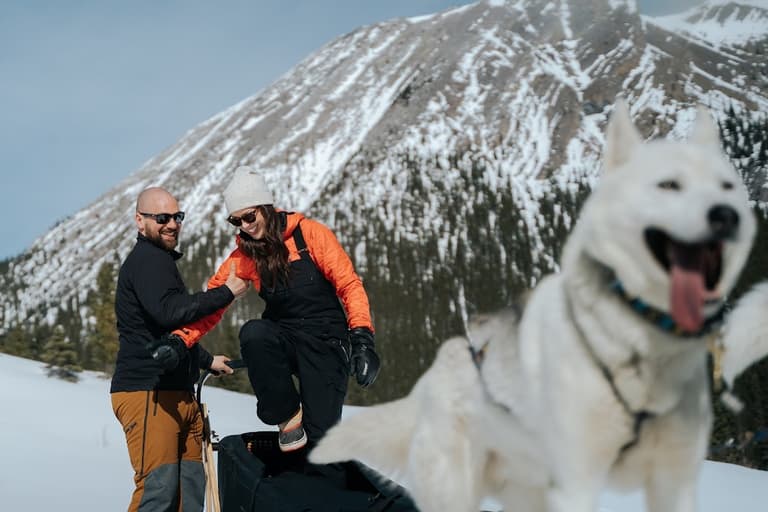 Snowy Owl Sled Dog Tours Inc