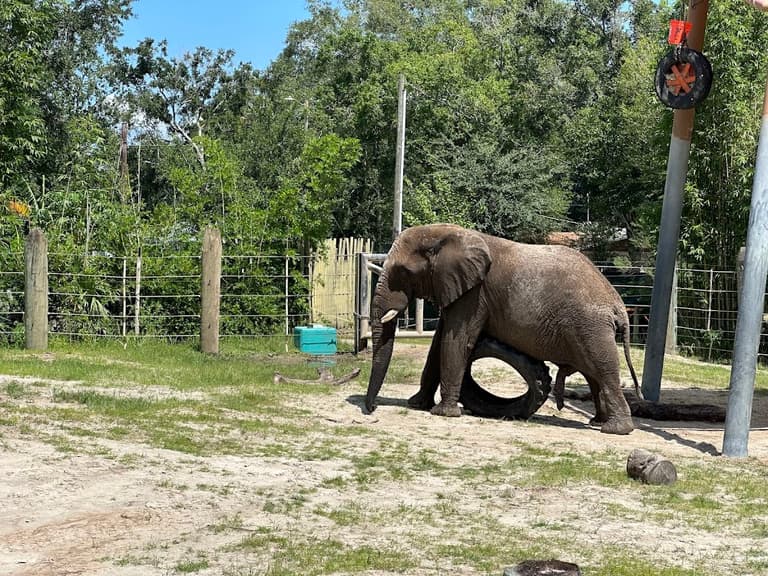 ZooTampa im Lowry Park