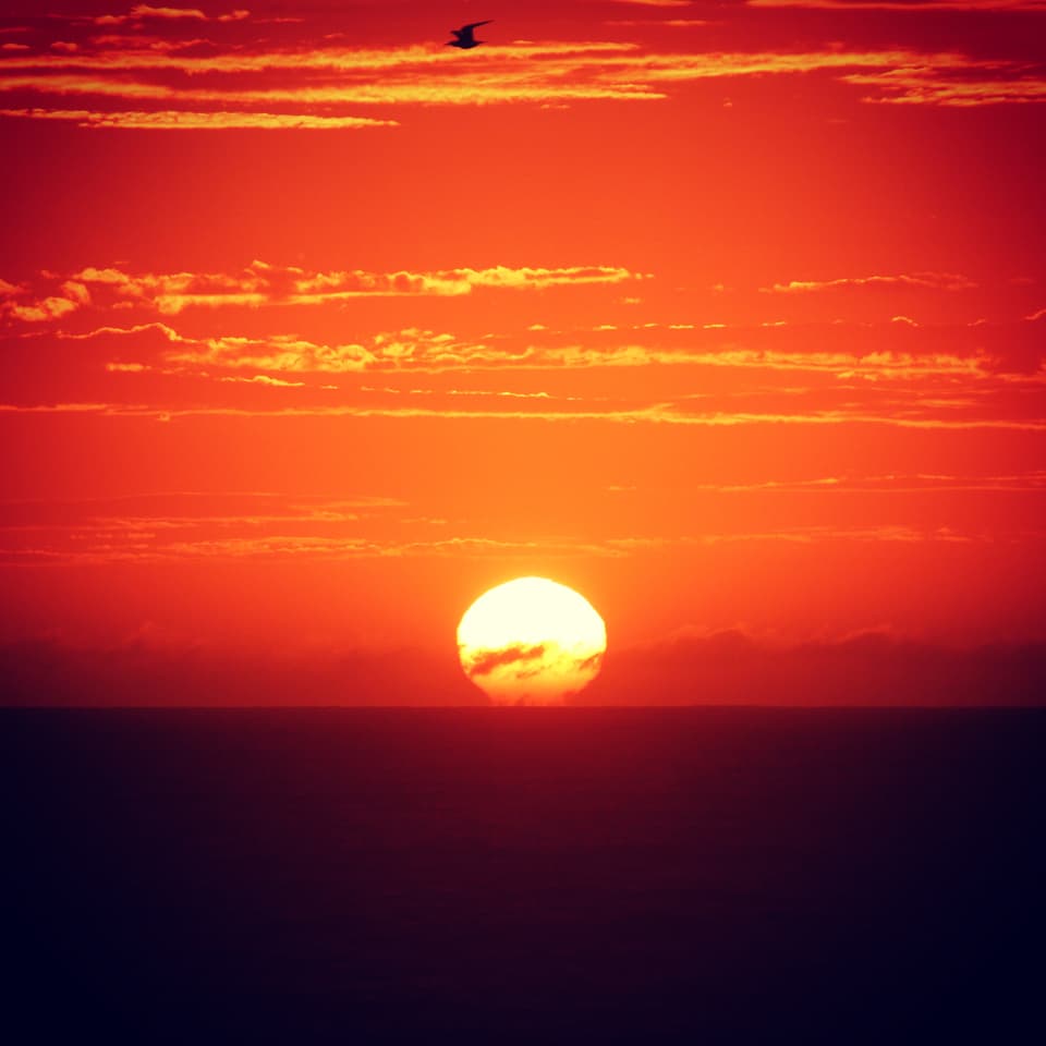 crosscountryswimming