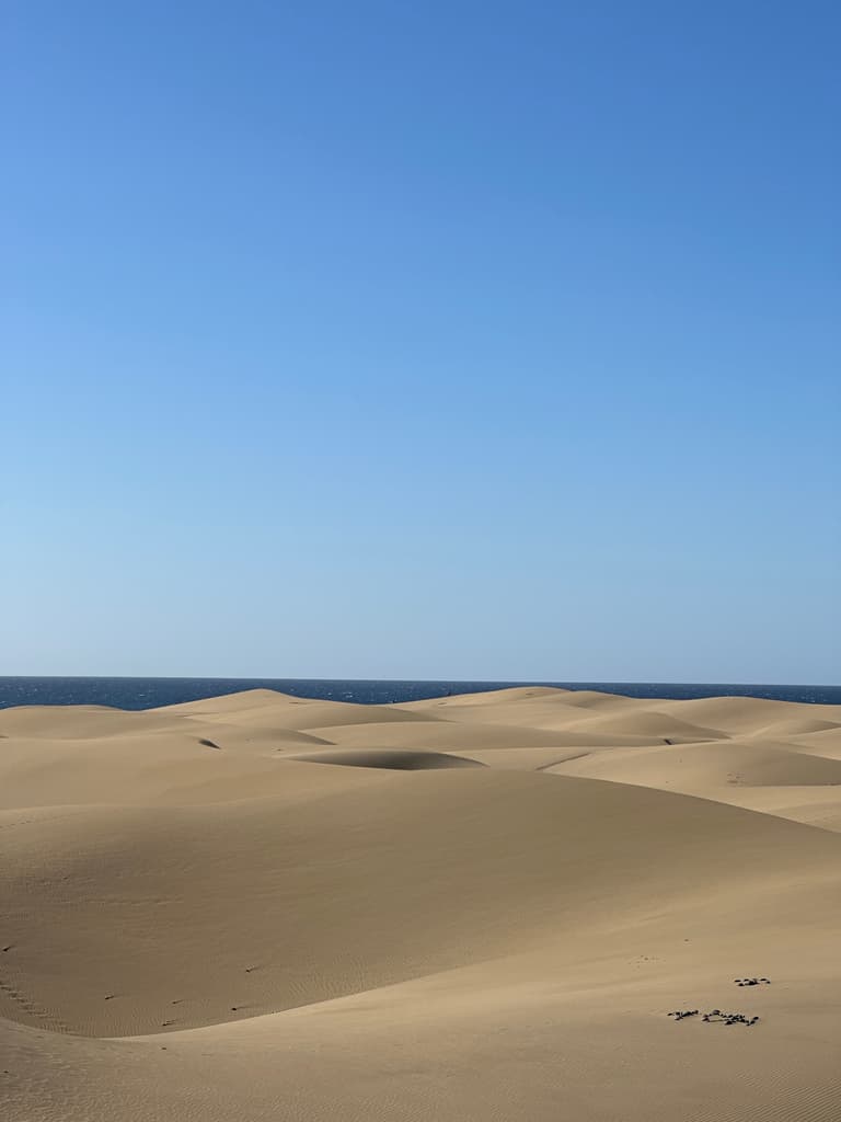 Dunes de Maspalomas