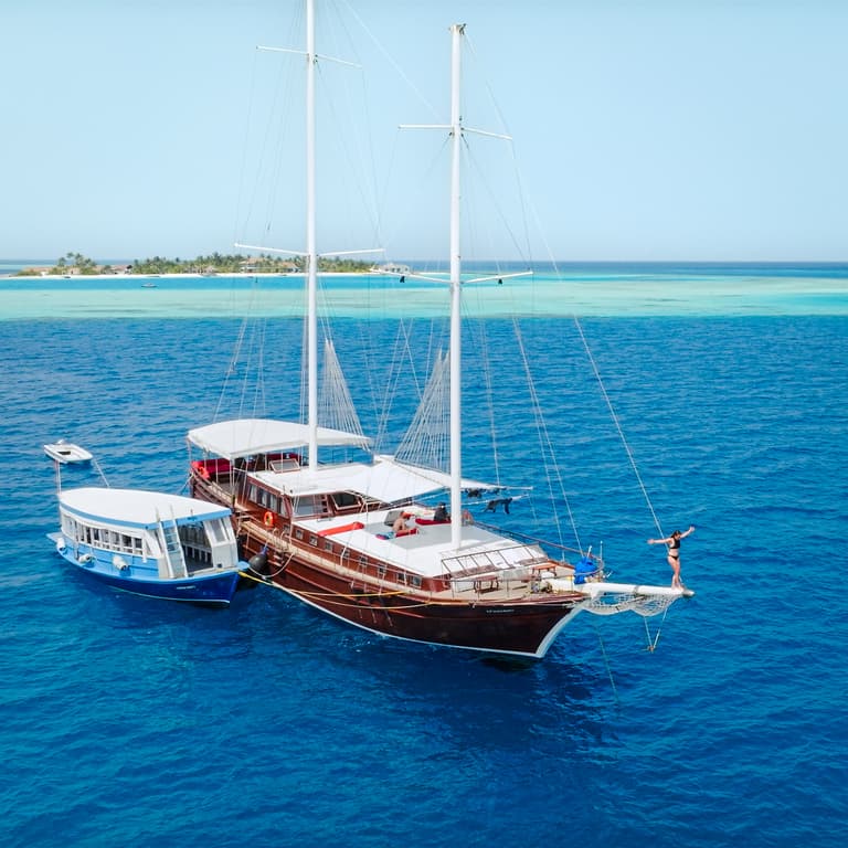 Secret Paradise – einwöchige Schildkröten-Schutzkreuzfahrt auf den Malediven