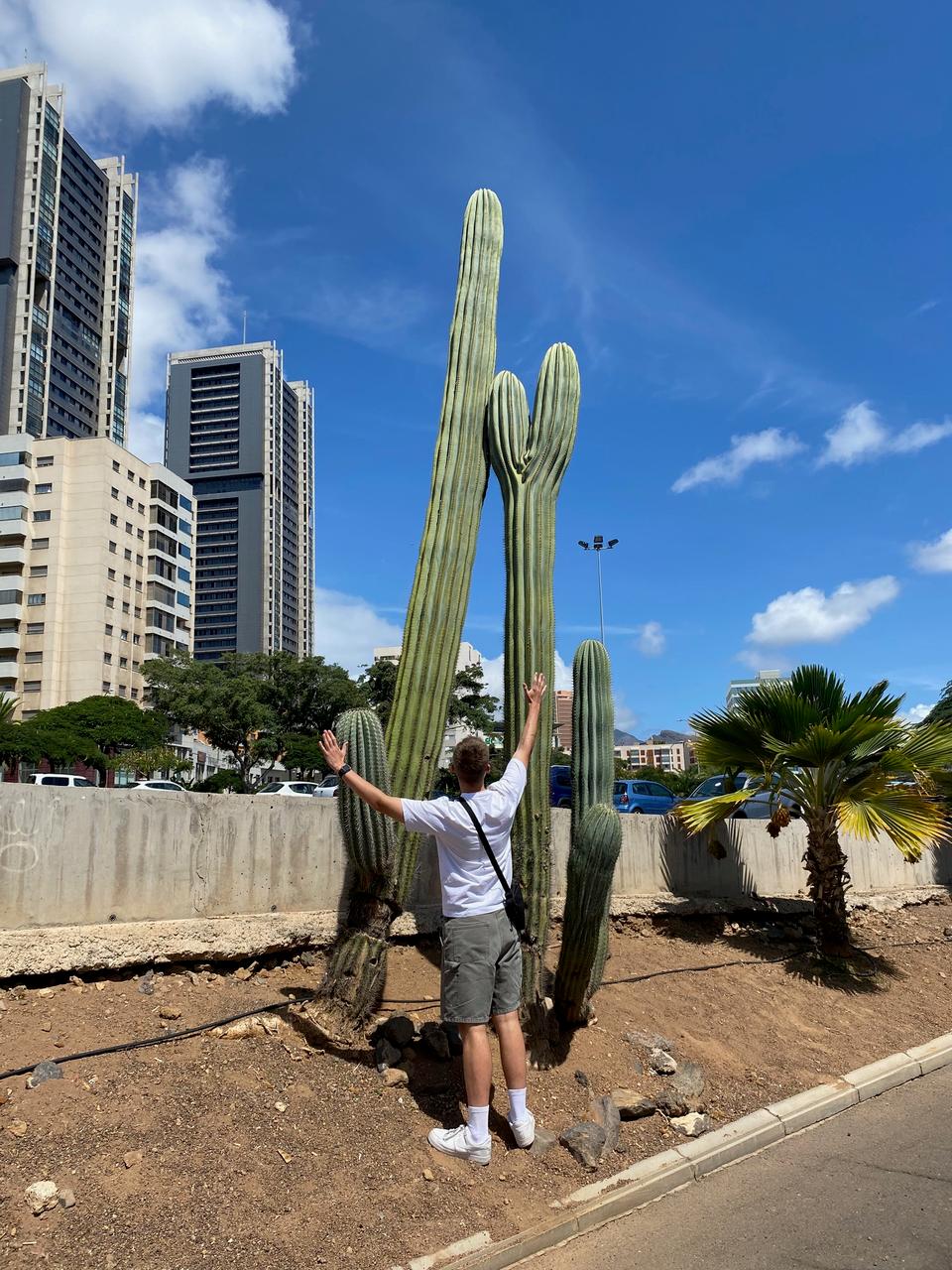 Gran Canaria Travel Guide: Everything You Need to Know!