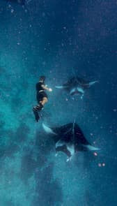 Juliantravelstheworld's Portfolio