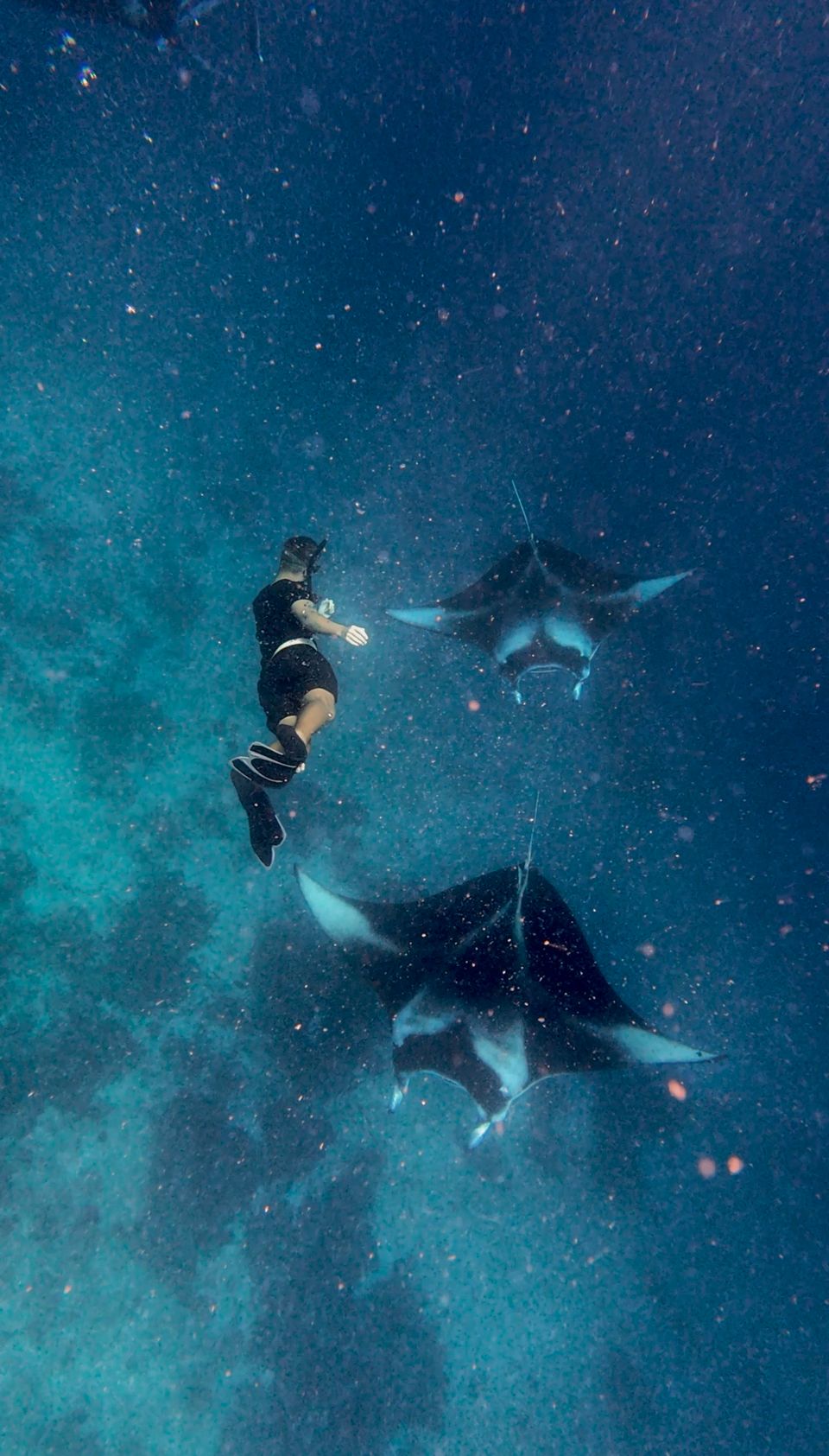 Juliantravelstheworld