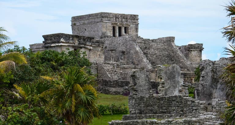 Mexico Real Food Adventure