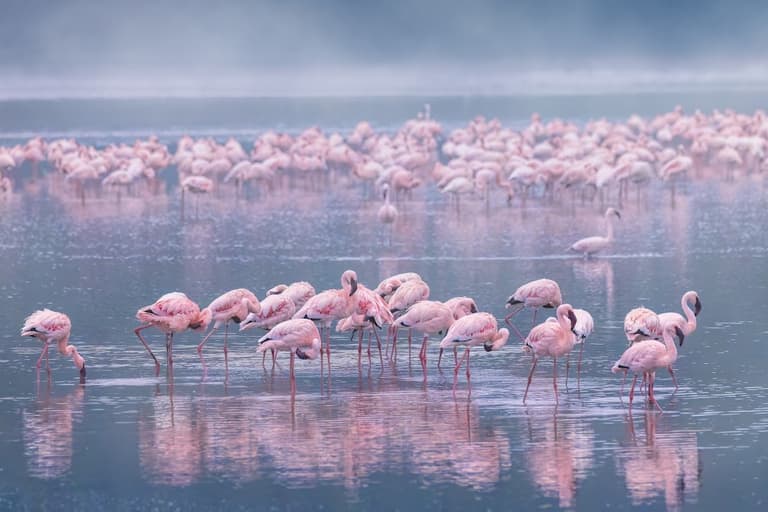 Lake Nakuru