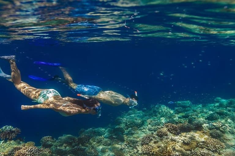 Night Snorkeling Experience in Dhiffushi Island