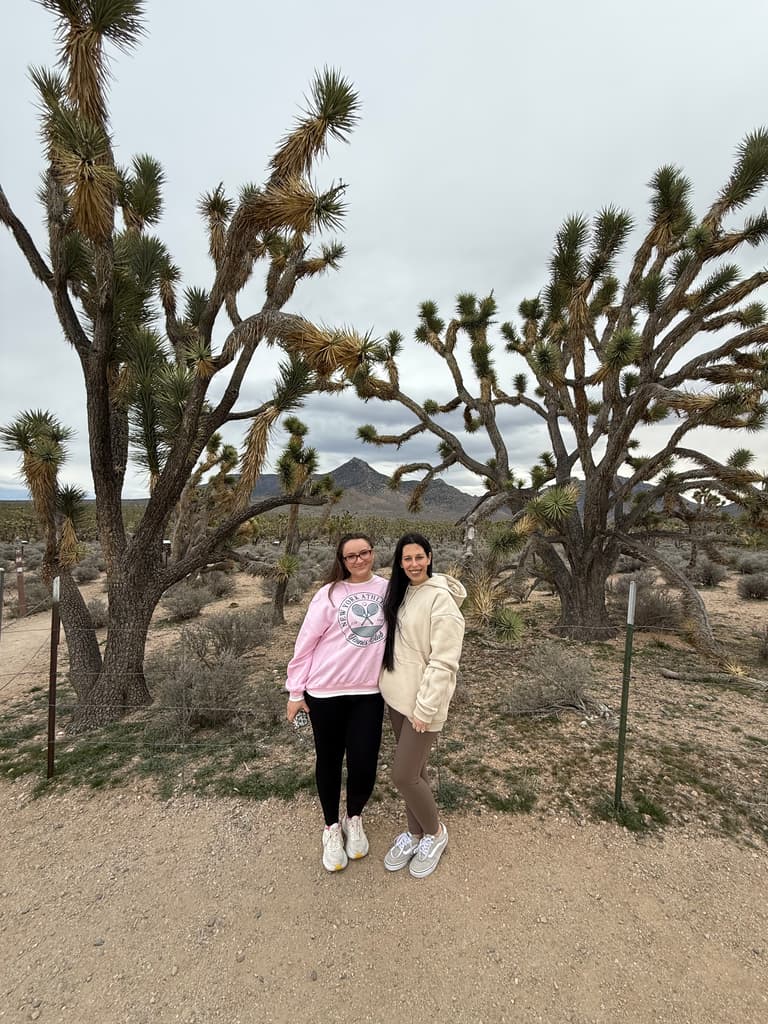 Arizona's Joshua Tree Forest