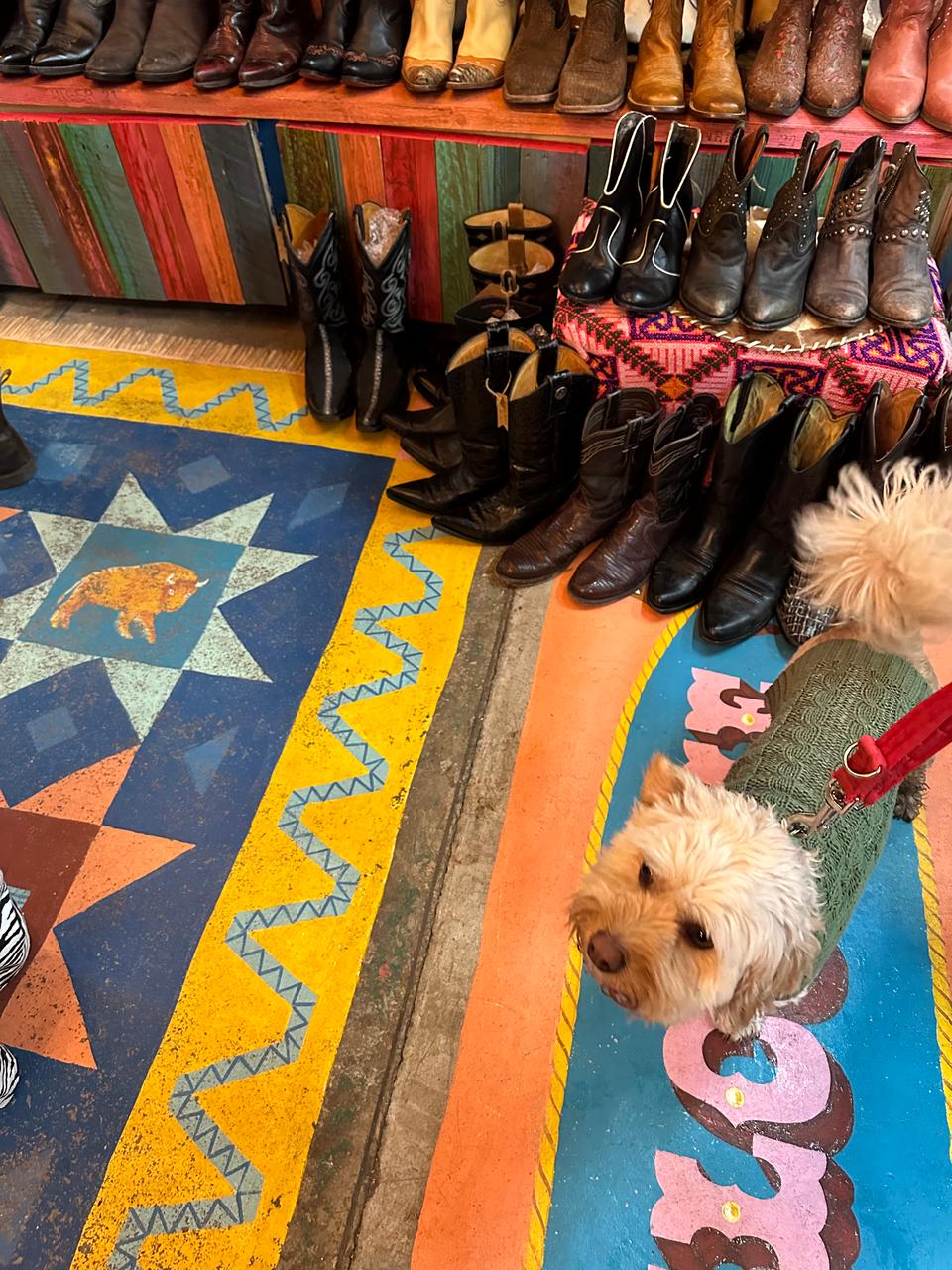 Hidden Gem: The Barras Market, Glasgow East End
