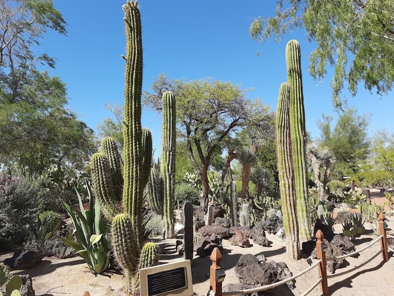 Jardin botanique de cactus Ethel M