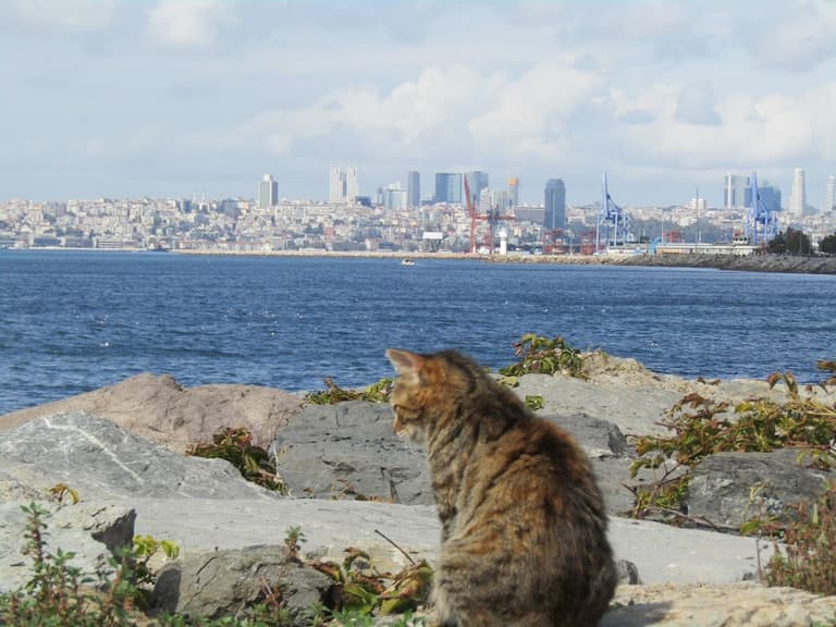 Kadıköy: a good balance for remote work and everyday life
