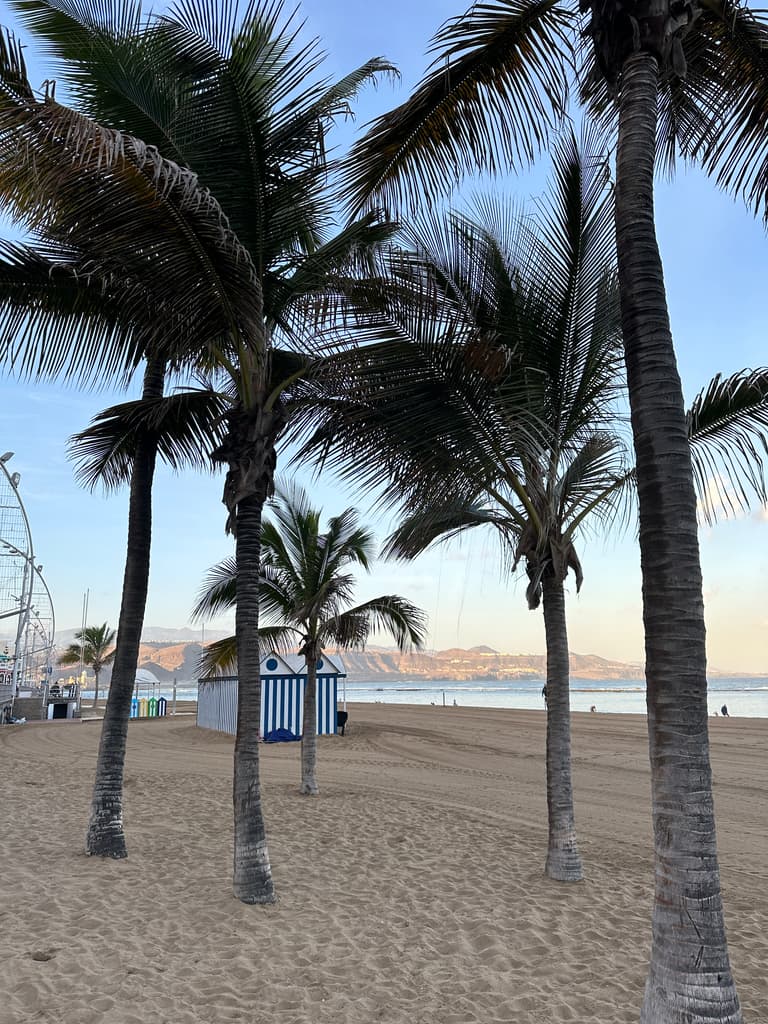Playa de Las Canteras (Las Palmas de Gran Canaria)