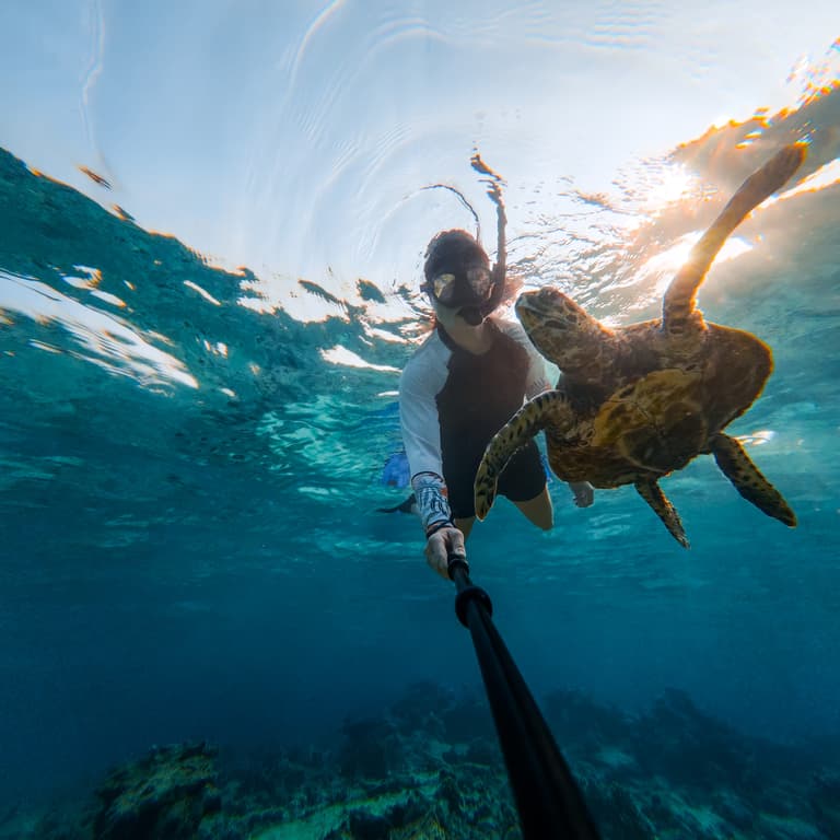Schildkröten-Selfie