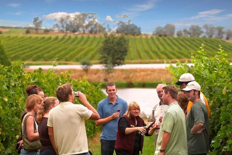 Yarra Valley Wine & Winery Tour from Melbourne - All Inclusive!