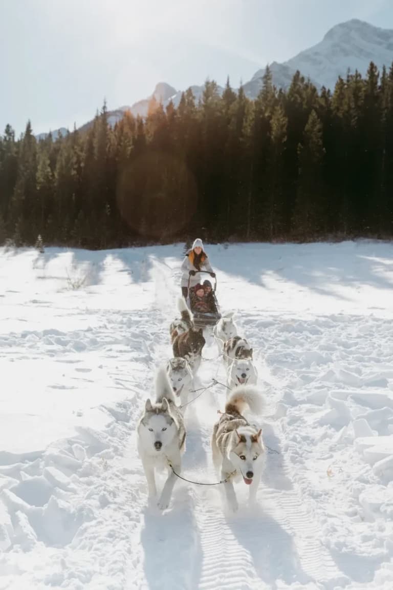 Dogsledding – Sunfeather Winterlude 4 Hrs