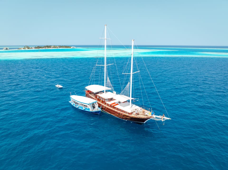 Sustainable Travel in the Maldives: My Week on a Turtle Conservation Cruise