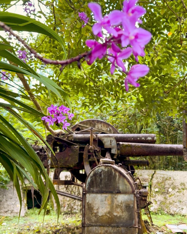Canons anti-aériens japonais de la Seconde Guerre mondiale