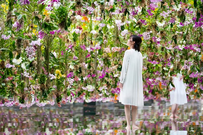 teamLab Planets TOKYO DMM