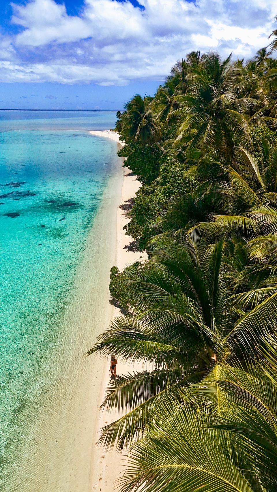 Pohnpei Reiseführer: Eine Woche voller Abenteuer, Natur und unberührtem Paradies