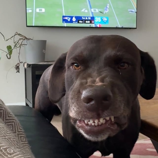 Wait for Jon B’s reaction 😆
locked in another W ⚡️ duuuuuuval baby!