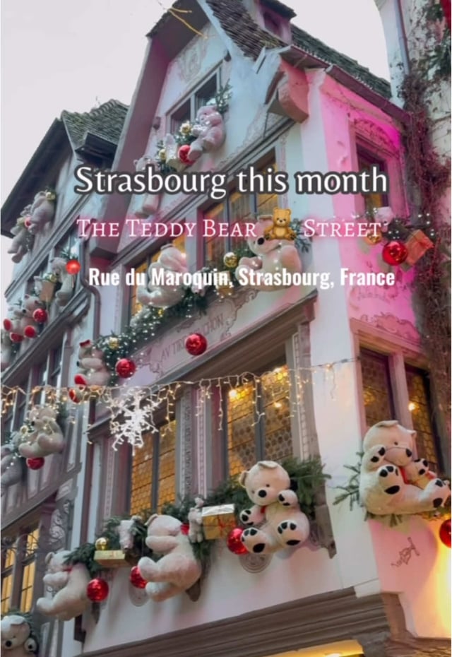 Strasbourg this month will feel straight out of a Christmas fairytale ✨ Teddy Be