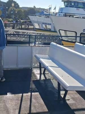Hi, loveies. Are you looking for a cruise in San Francisco, California right on 