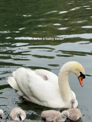 at the park!