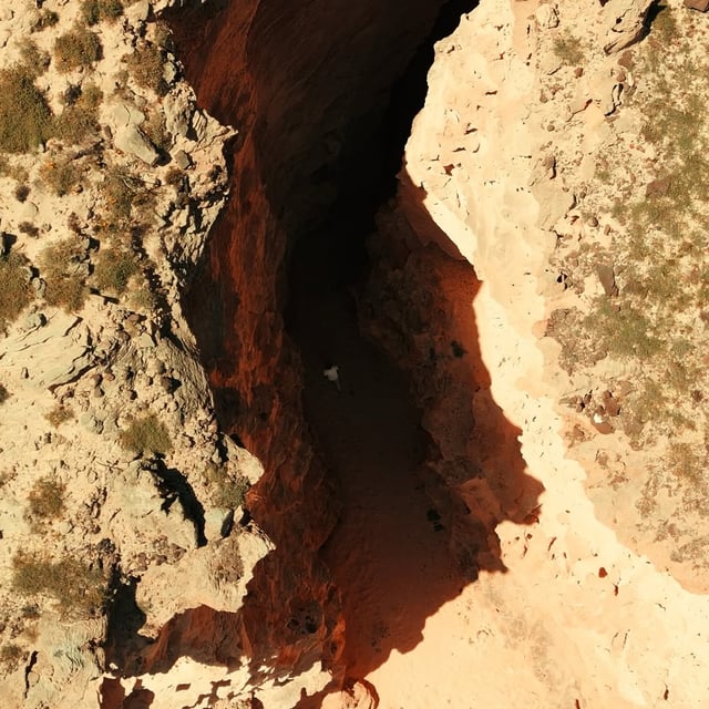My favorite moments from our Porto Santo Trip

There is so much to see on this i