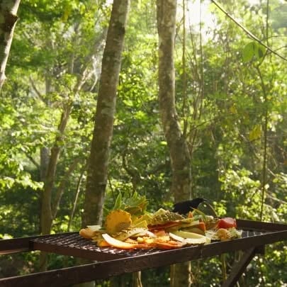 Postcards from the Belizean Jungle

Diving back into some recent moments from ou