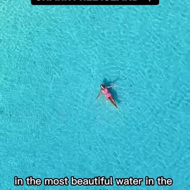 🚫NO SHARKS HERE ⬇️

📌 Comment “COOK” for our FREE Cook Islands Guide 🇨🇰 

🦈