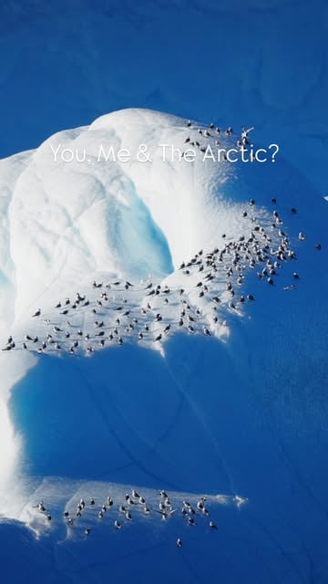 Send this to the person you want to visit the Arctic with🧊↗️🥹

[📌 Want to boo