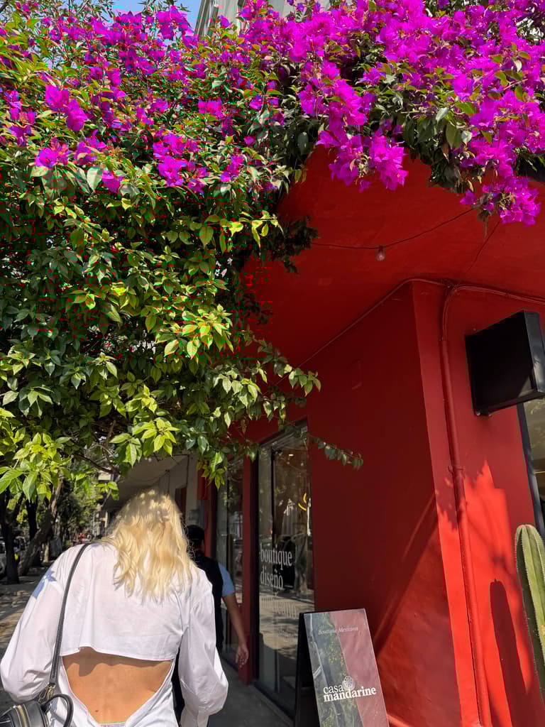 🍃 Explore Chapultepec Park by Segway
