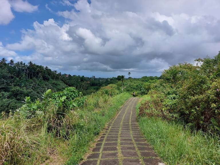 Campuhan Ridge Walk
