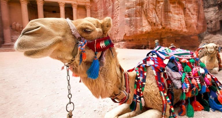 Jordaniens Gewürzpfade erkunden