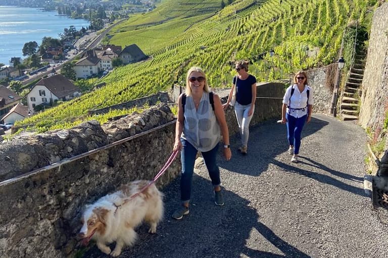 Vine Stories: Caminhada por vinhedos em Lavaux & Lutry
